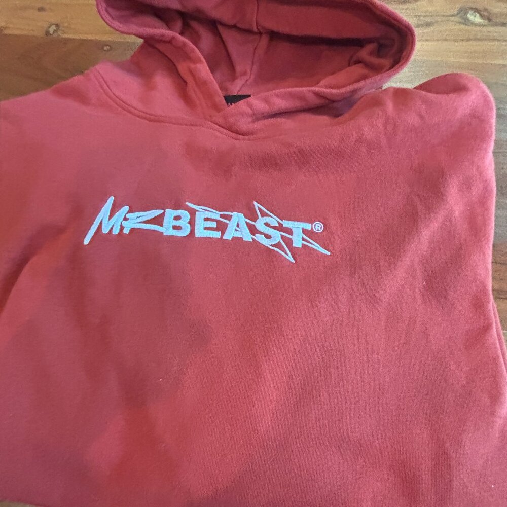 Mr. Beast Men's Hoodie Rust, Size Small